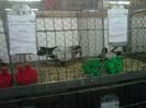 IMG-20140112-00091