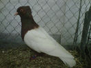 IMG-20140112-00092