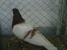 IMG-20140112-00093