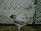 IMG-20140112-00094