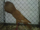 IMG-20140112-00095