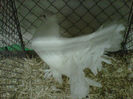 IMG-20140112-00097