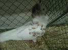 IMG-20140112-00098