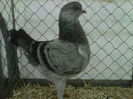 IMG-20140112-00100