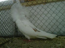 IMG-20140112-00101