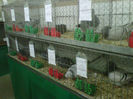 IMG-20140112-00103