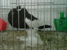 IMG-20140112-00107