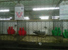 IMG-20140112-00110