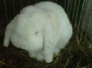 IMG-20140112-00112