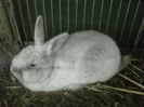 IMG-20140112-00113