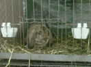 IMG-20140112-00115