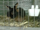IMG-20140112-00116