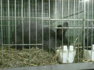 IMG-20140112-00118