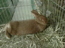 IMG-20140112-00119