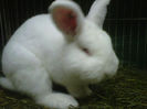 IMG-20140112-00120