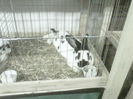IMG-20140112-00122