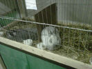 IMG-20140112-00125