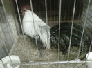 IMG-20140112-00127