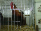 IMG-20140112-00129