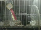 IMG-20140112-00131