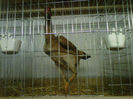 IMG-20140112-00134