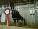 IMG-20140112-00135