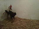 IMG-20140112-00136