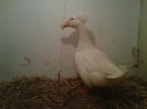 IMG-20140112-00137