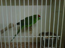 IMG-20140112-00138
