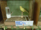 IMG-20140112-00143