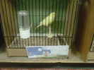 IMG-20140112-00144