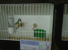 IMG-20140112-00147
