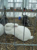 expo 2013 028
