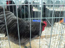 expo 2013 037
