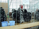 expo 2013 046