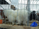 expo 2013 049
