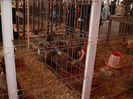expo 2013 059