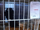 expo 2013 077
