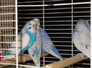 DSCN5420