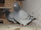 DSCF0061