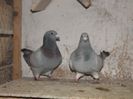 DSCF0066