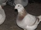DSCF0073