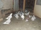 DSCF0074