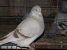 DSCF0075