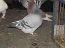 DSCF0088