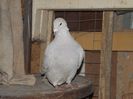DSCF0092