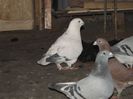 DSCF0086