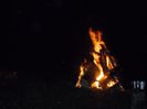 SAM_1336