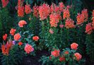 2012-04-16_5239_edited-1