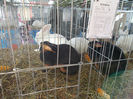 DSCN0621